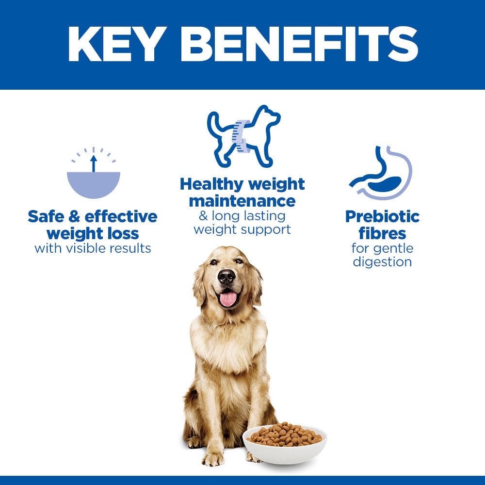 Canine Adult Perfect Weight Large Breed