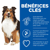 HypoAllergenic Treats