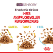 SENSORY SMELL, TASTE, FEEL in sauce, fresh pouches