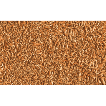 Shrimp mix