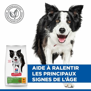 Canine Senior Vitality 7+ Medium Breed
