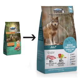 Dog Rentier, Forelle & Rind