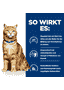 Feline c/d Multicare Urinary Care - Dose