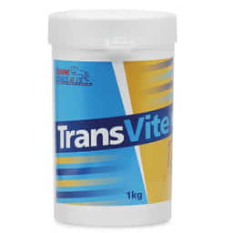 TransVite Gut Balancer