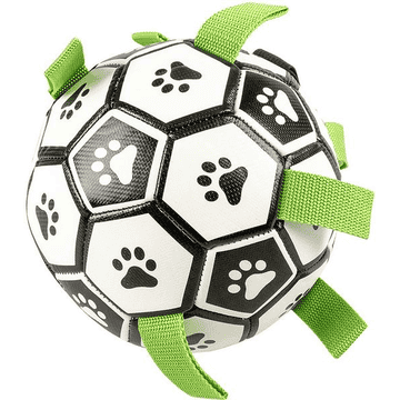 Football pour chiens