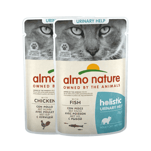 Holistic Urinary Help