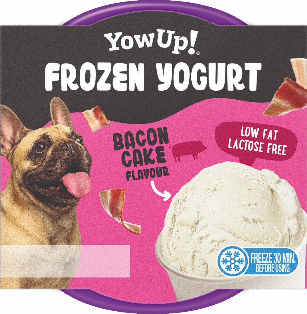 Dog Frozen Yogurt