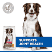 Canine Adult Healthy Mobility Medium Breed