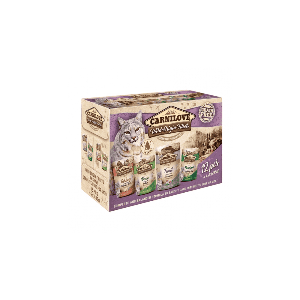 Cat Pouch Multipack Ragout