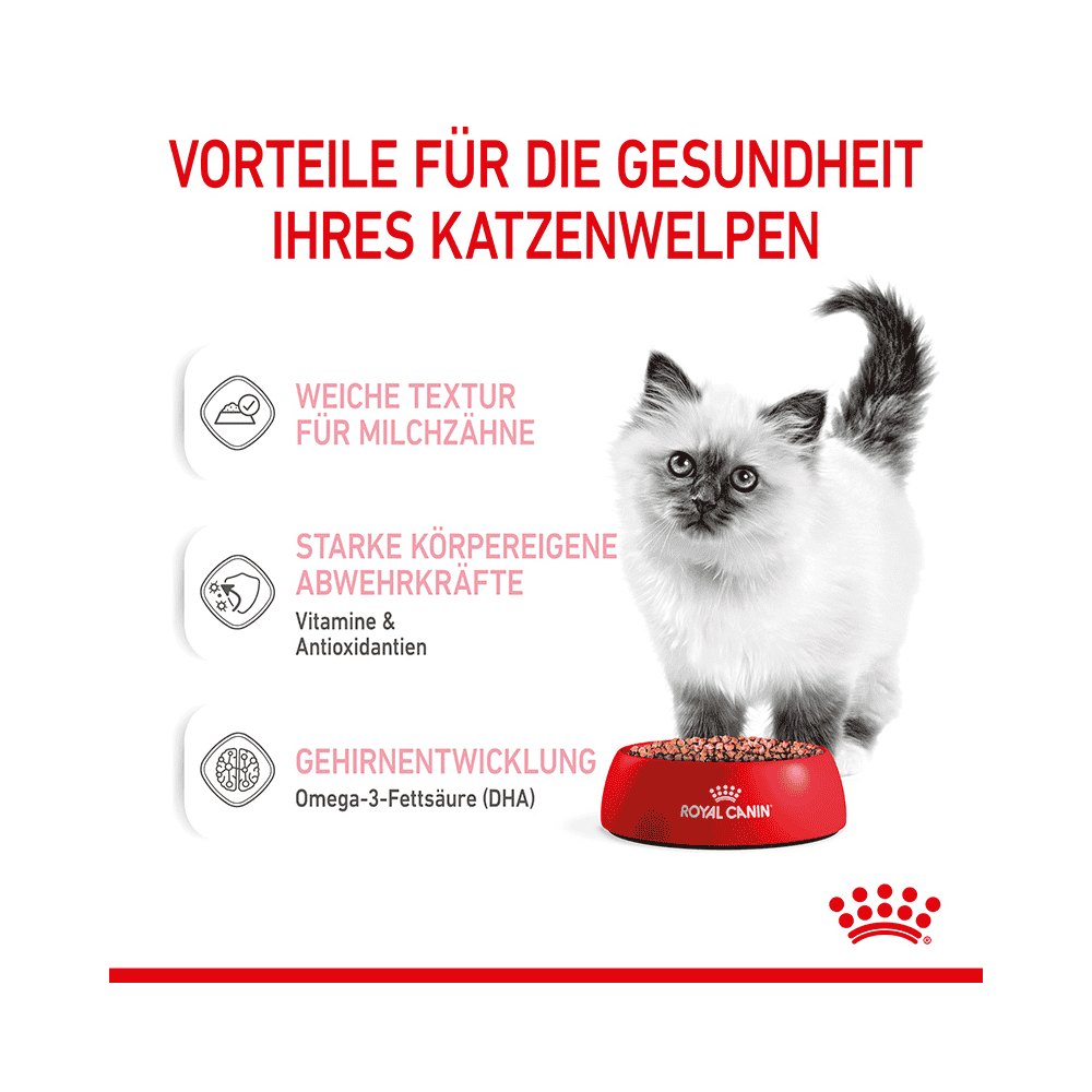 Kitten in  Sauce - Frischebeutel