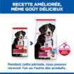 Canine Adult Large Breed Lamb & Rice