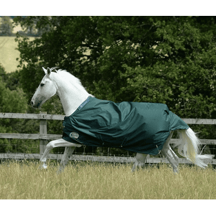 Turnout rug Green-Line Turnout 100g - green
