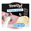 Dog Frozen Yogurt