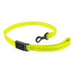 PVC Light-Leash