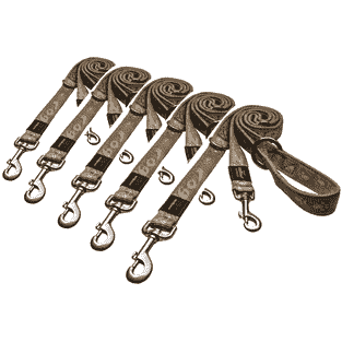 Laisse pour chien Alpinist or