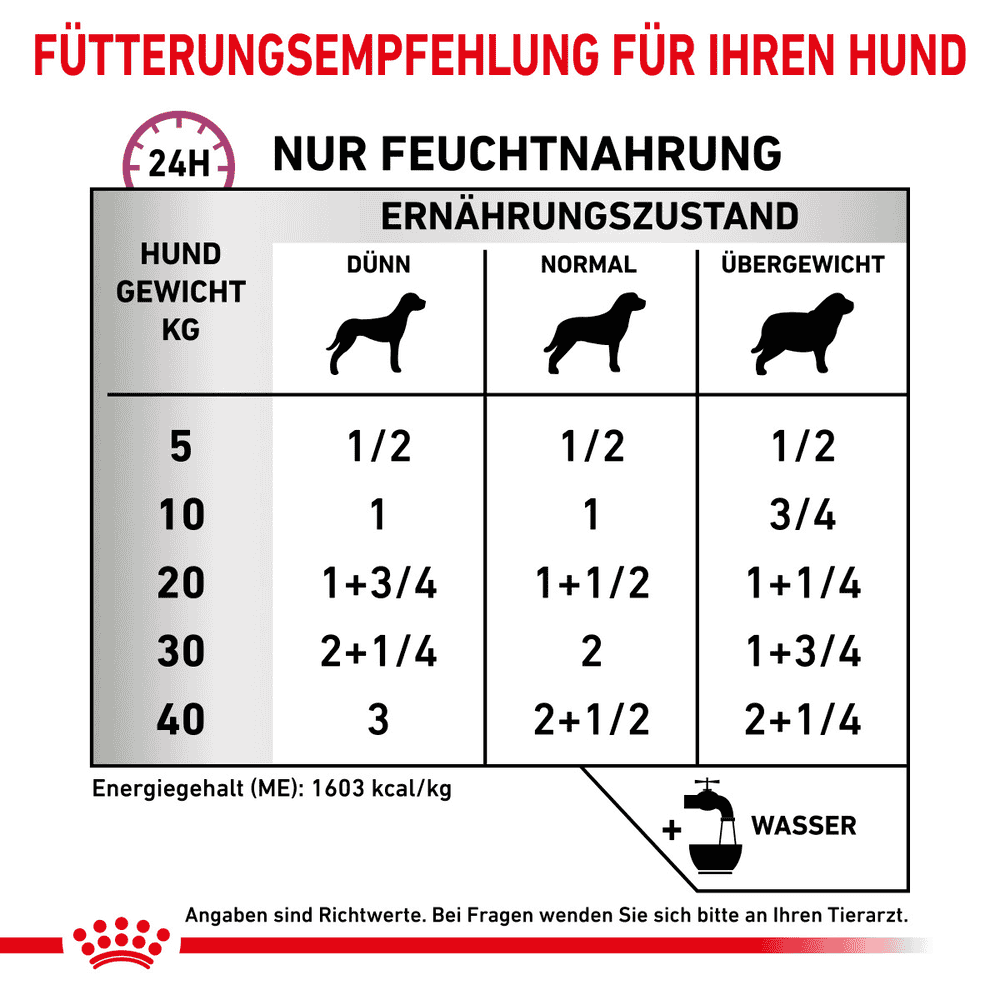 Renal Special Dog - Dose