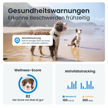 DOG 6 Tracker