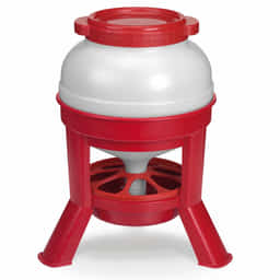 Distributeur de nourriture pour poules