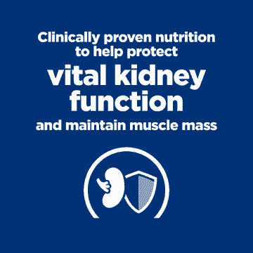 Feline k/d Kidney Care Chicken