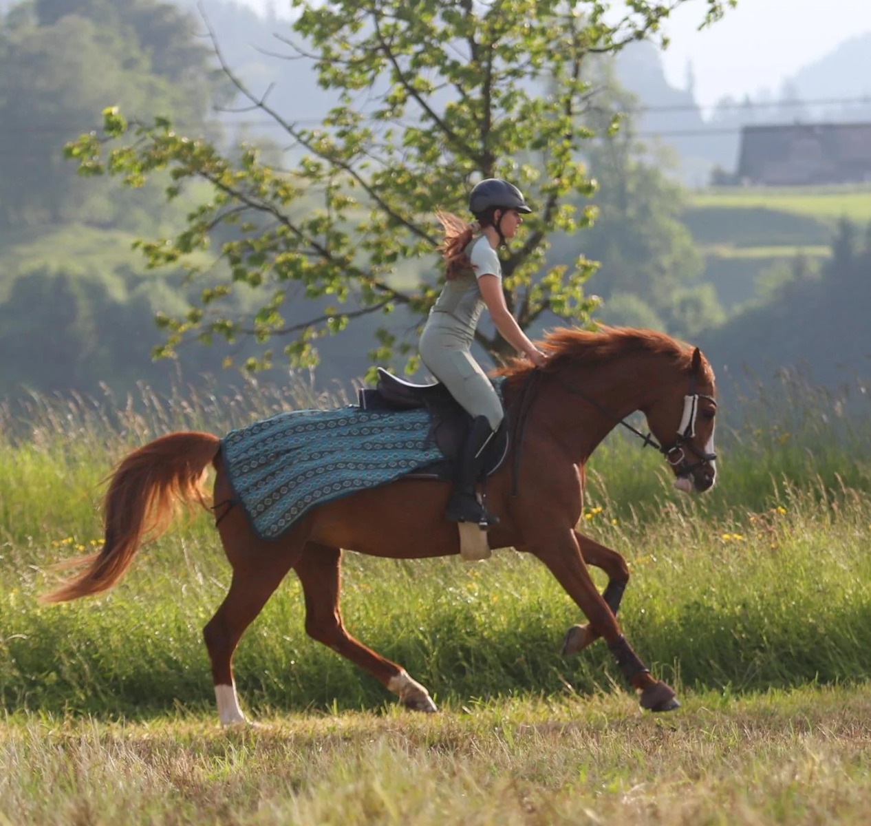 Riding fly rug Summer Stroll - green