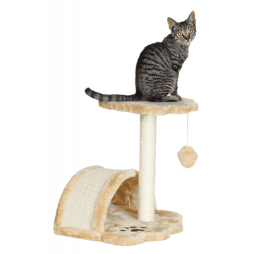 Vitoria cat scratcher
