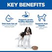 Canine Adult Chicken - Can