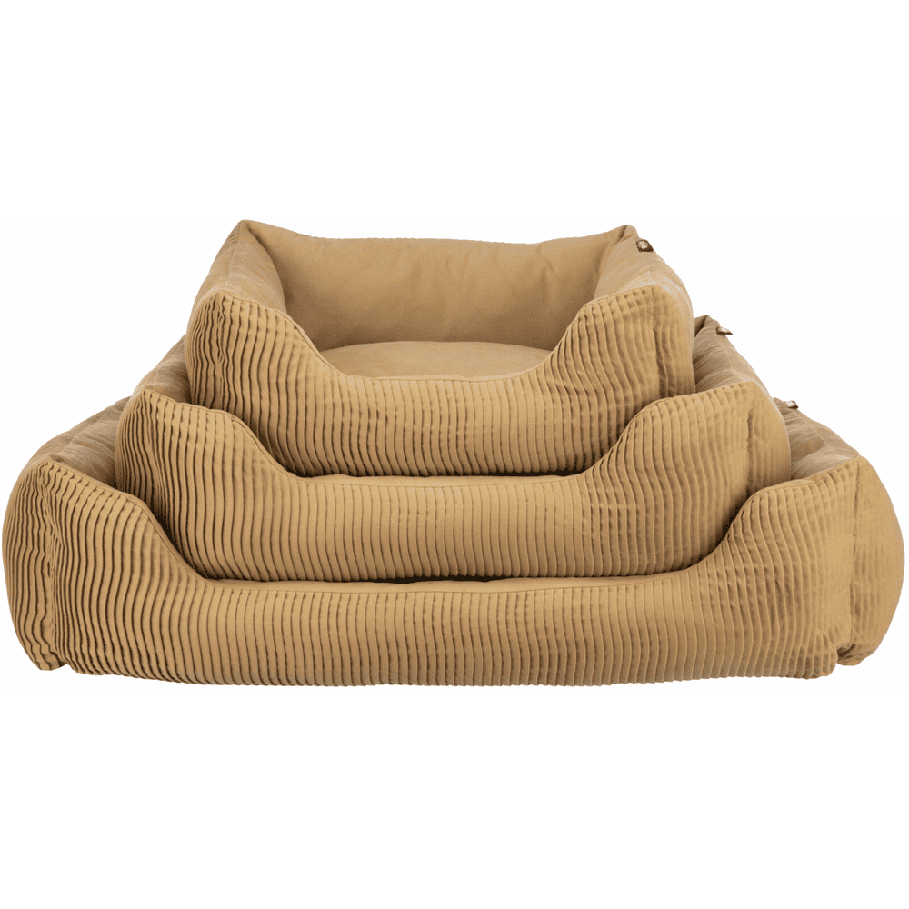Lit Marley ocre