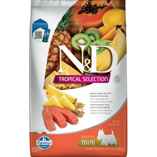 Canine Adult Mini Lachs