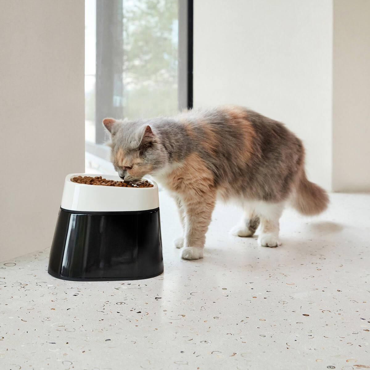 Ergo Cube Food Bowl