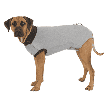 OP-Body für Hunde