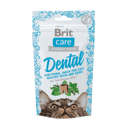 Care Cat Snack - Dental
