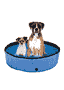 Piscine pour chiens Planchi bleu