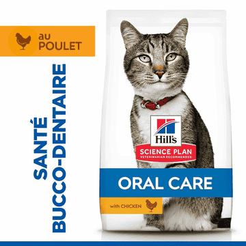 Feline Oral Care