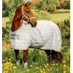 Newmarket Fly Sheet