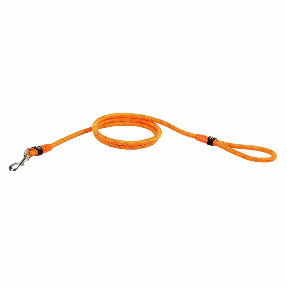 City leash Bungee