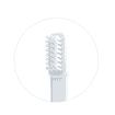 Brosse à dents à ultrasons version 2