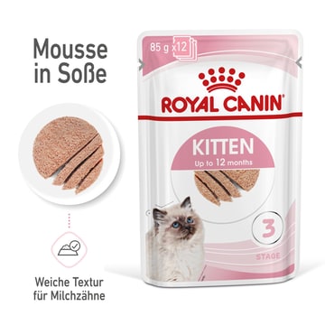 Kitten mousse in a fresh bag