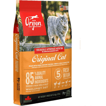 Original Cat