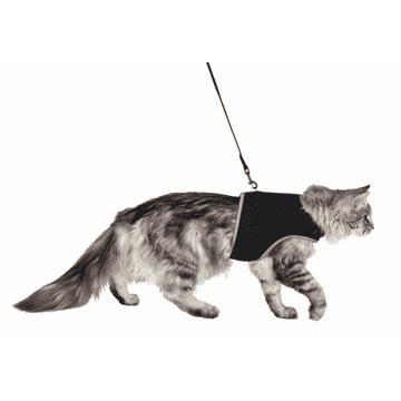 Harnais soft avec laisse pour chats