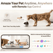 ROLA Mini Companion Robot
