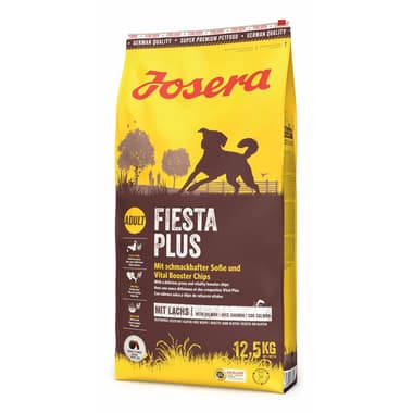 FiestaPlus