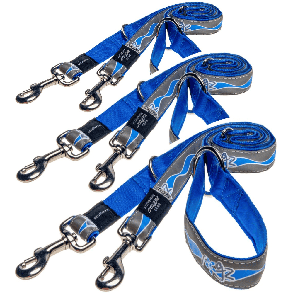 Dog leash Reflective Blue