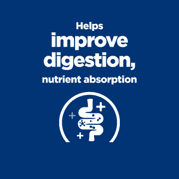 Canine i/d Low Fat Digestive Care - Can