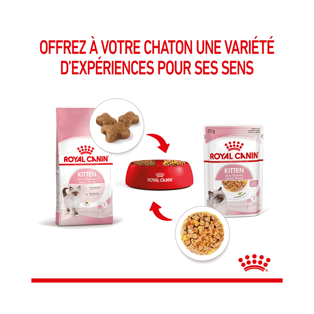 Kitten en gelée - sachet