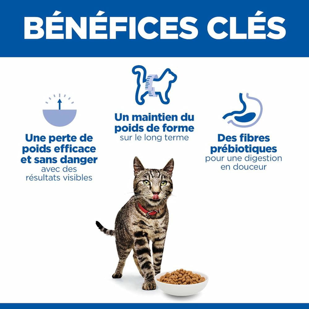 Feline Perfect Weight