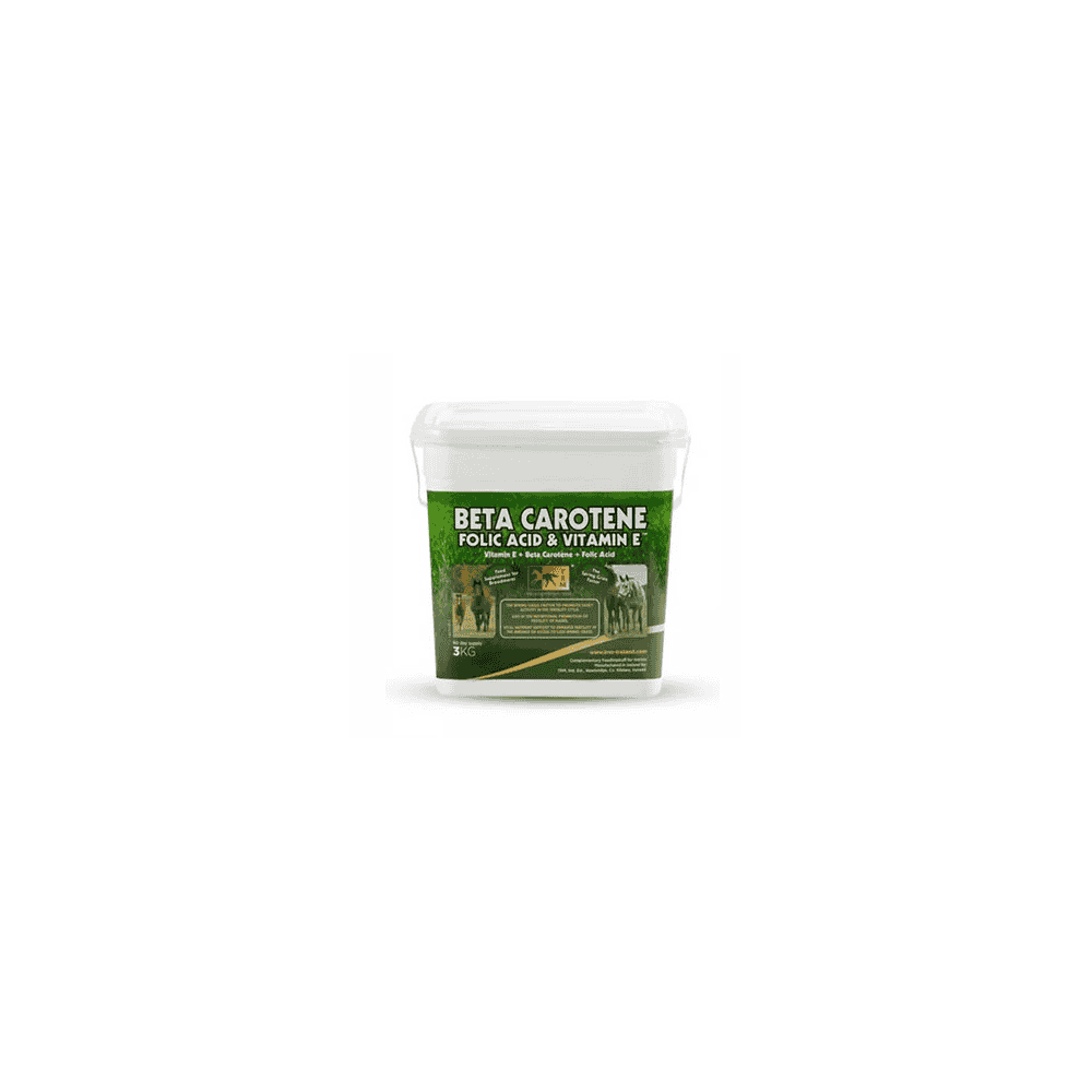 Beta Carotene, Folic Acid & Vitamin E