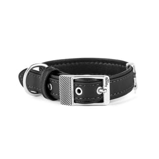 Bilbao Similpelle Halsband für Hunde in schwarz