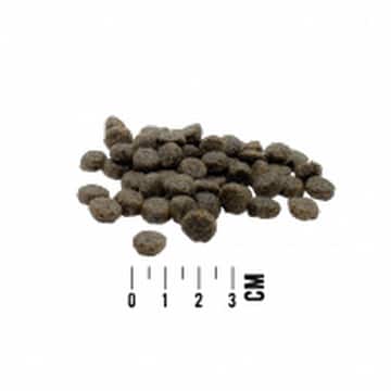 DOG Mono Mini Adult Agneau & Patate douce