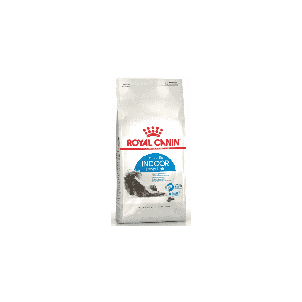 Indoor Longhair 35 Cat