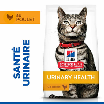 Feline Urinary Health